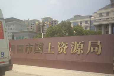 河南某國(guó)土資源局雷迪司40KVA工頻UPS電源
